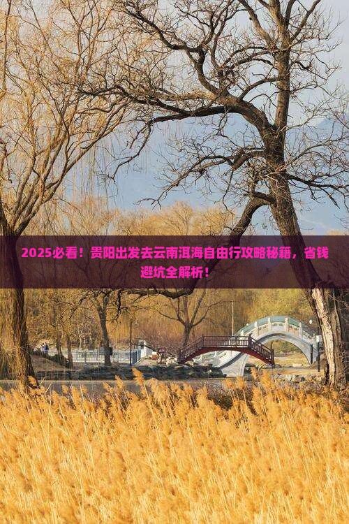 贵阳去云南洱海自由团