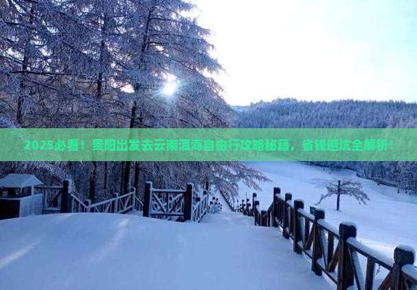 贵阳去云南洱海自由团