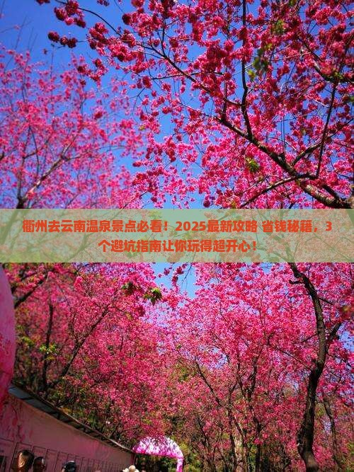 衢州去云南温泉景点