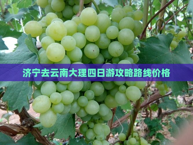 济宁去云南大理四日游