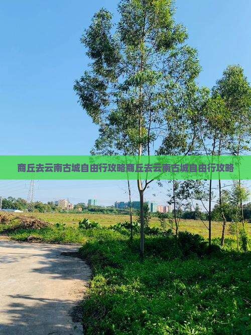 商丘去云南古城自由行