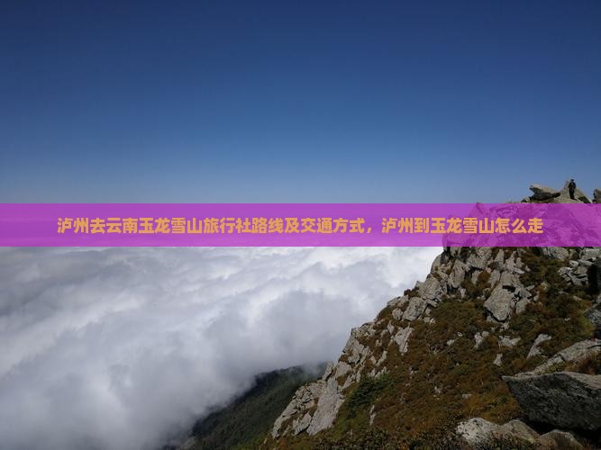 泸州去云南玉龙雪山旅行社