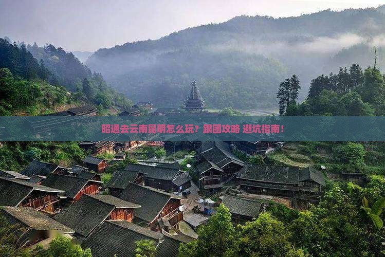 昭通去云南昆明旅行社