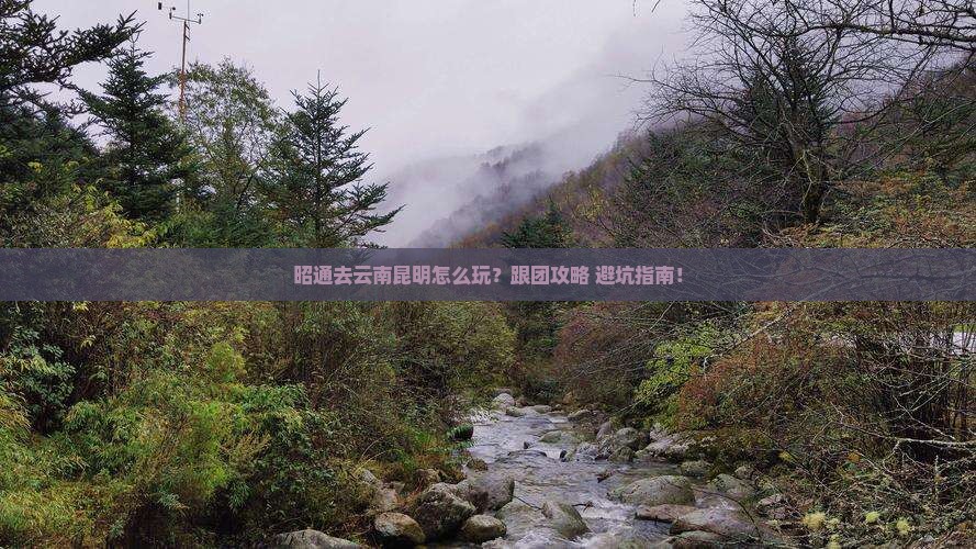 昭通去云南昆明旅行社