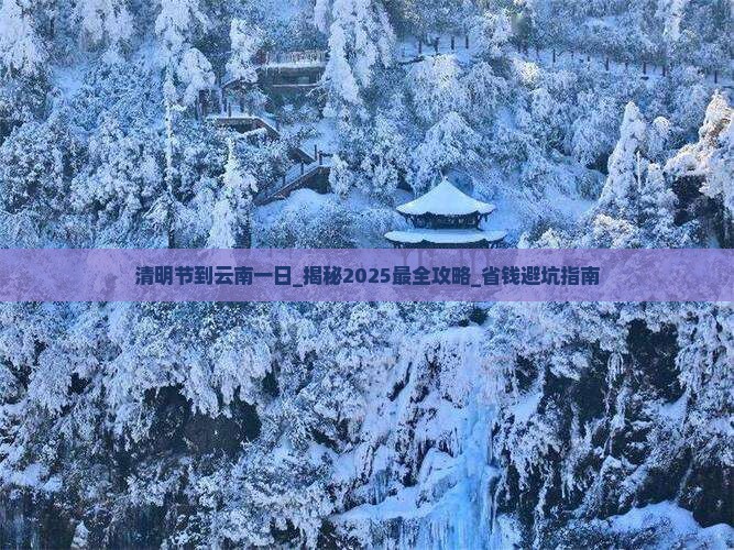 清明节到云南一日