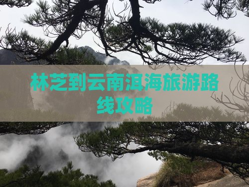 林芝到云南洱海个人游