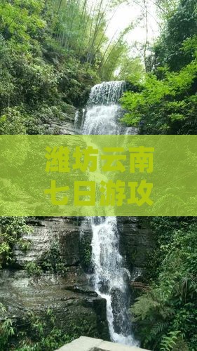 潍坊去云南昆明七日游