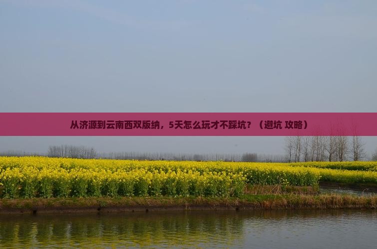 济源去云南西双版纳旅游