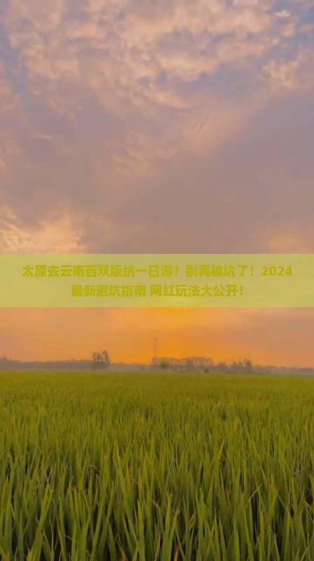 太原去云南西双版纳一日