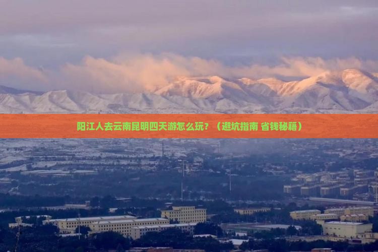 阳江去云南昆明四日游