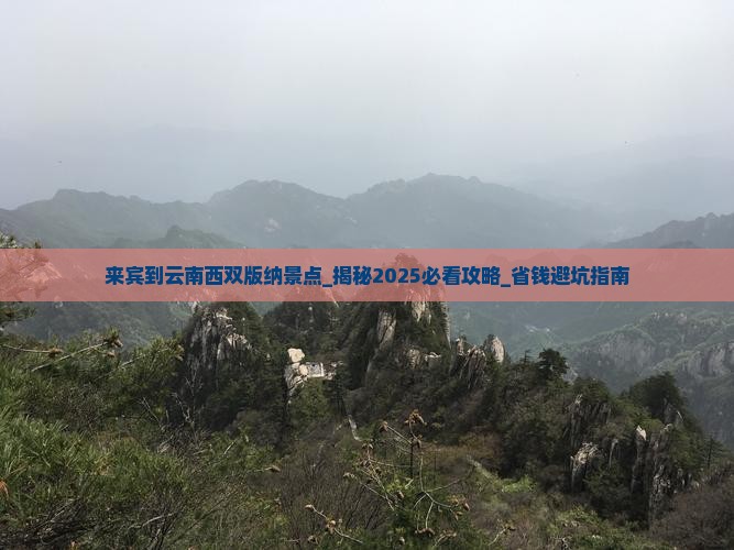 来宾到云南西双版纳景点