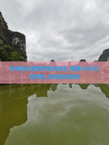来宾到云南西双版纳景点