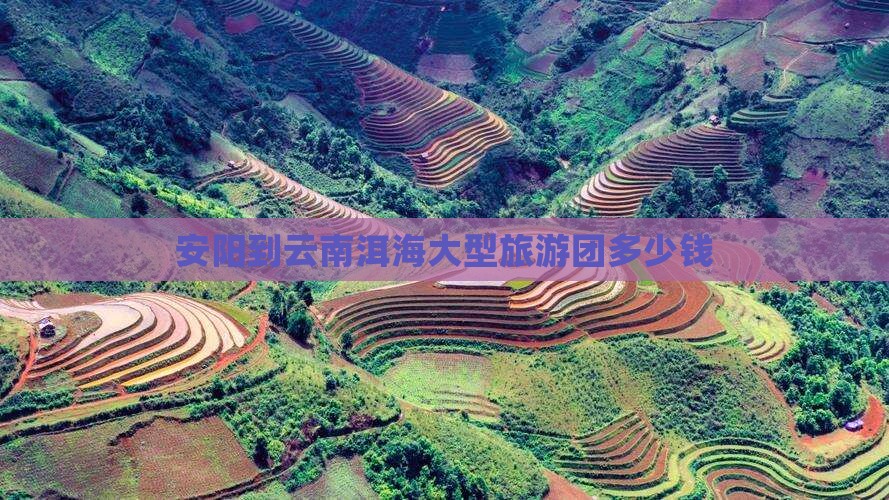安阳到云南洱海大型旅游团