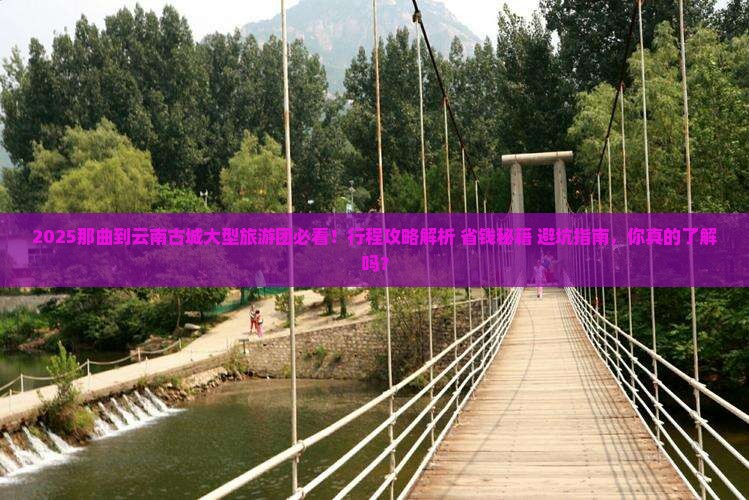 那曲到云南古城大型旅游团