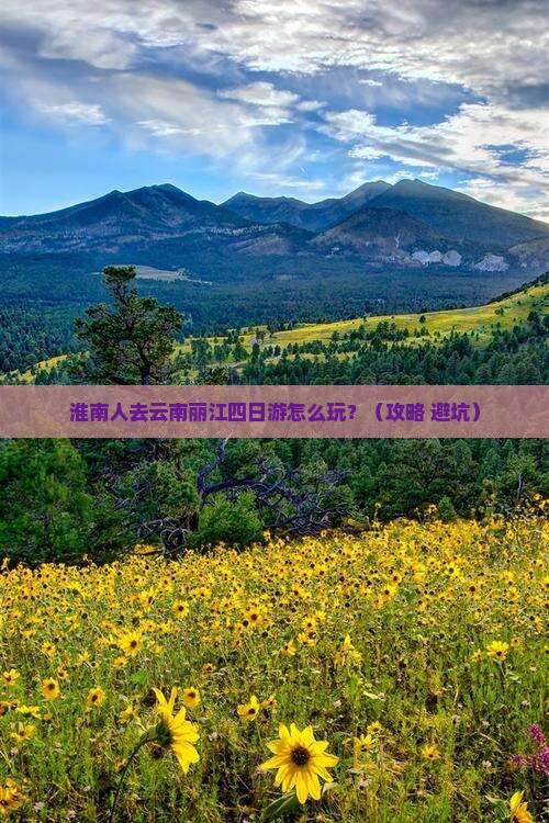 淮南去云南丽江四日游