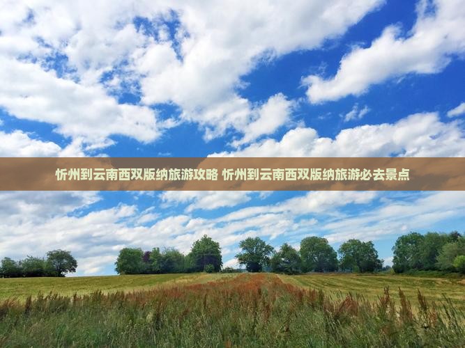 忻州到云南西双版纳旅游