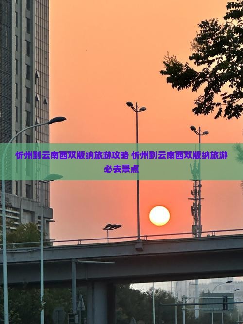 忻州到云南西双版纳旅游