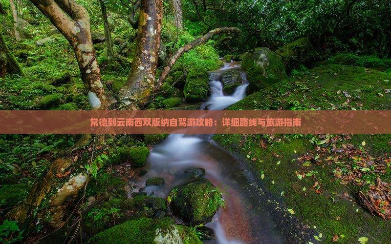 常德到云南西双版纳个人游
