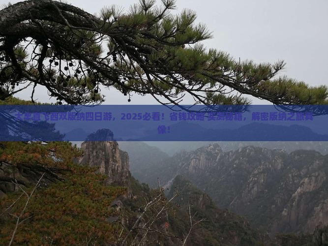 大丰到云南西双版纳四日游