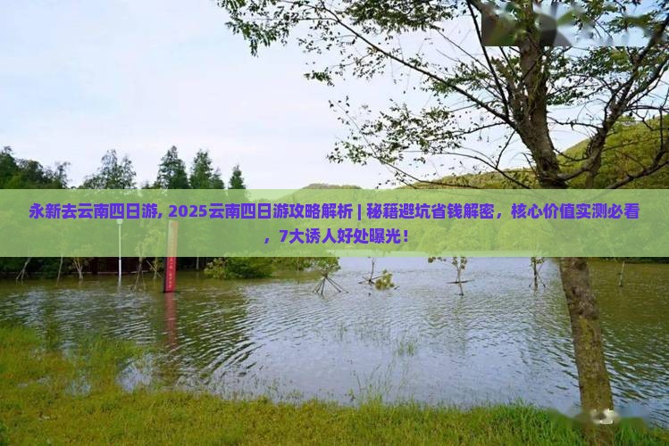永新去云南四日游