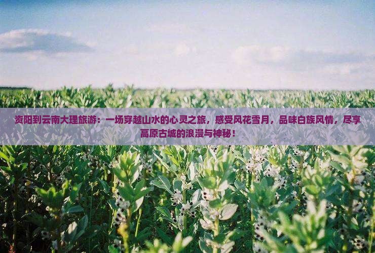 资阳到云南大理旅游