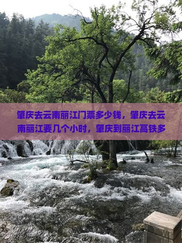 肇庆去云南丽江门票