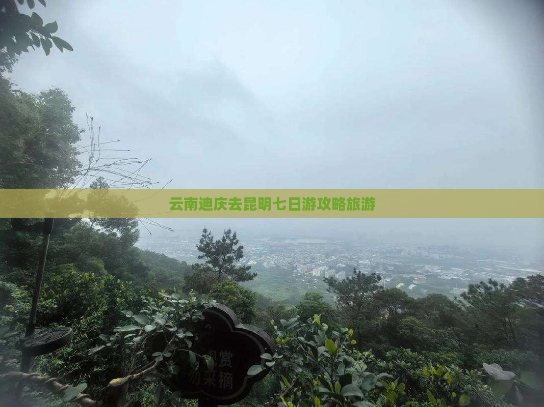 迪庆去云南昆明七日游