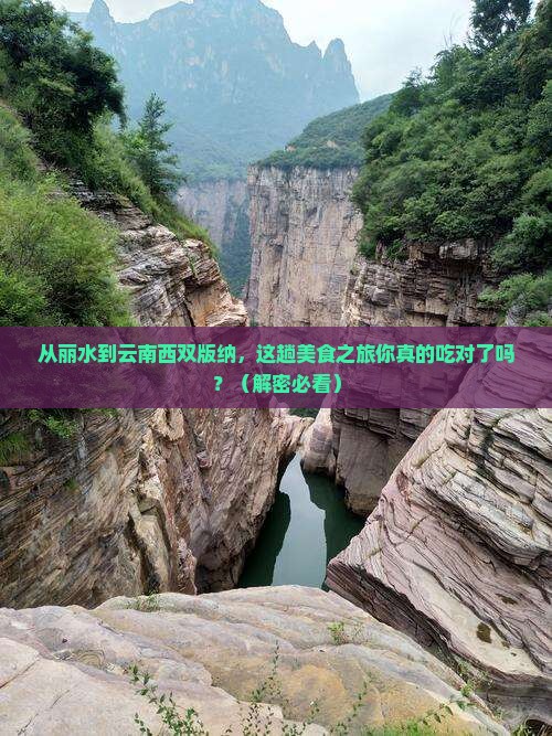 丽水到云南西双版纳旅游小吃