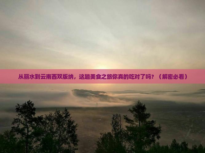 丽水到云南西双版纳旅游小吃