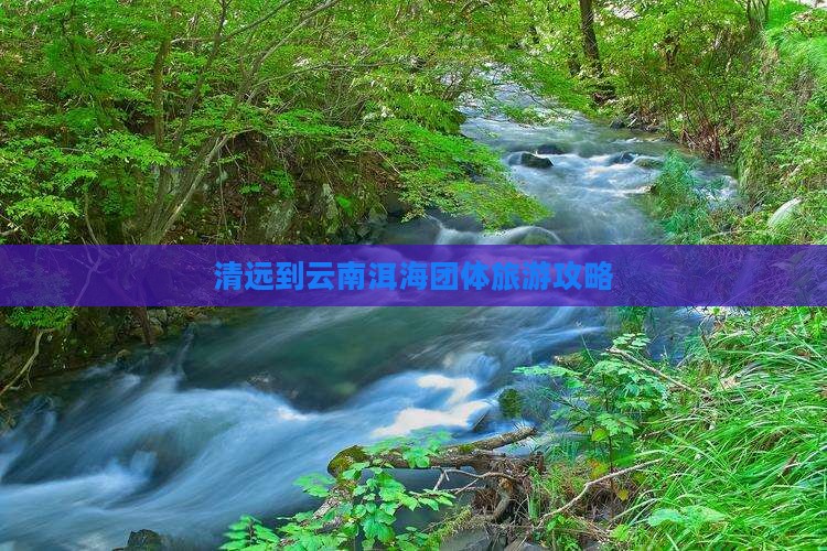 清远到云南洱海团体旅游