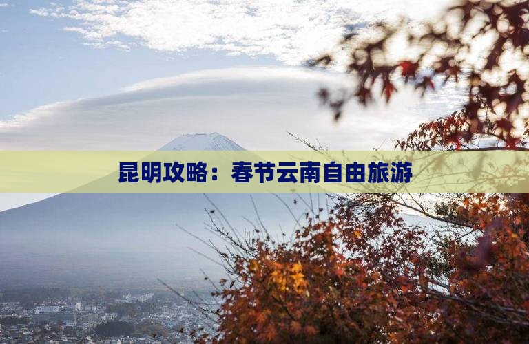 春节去云南昆明自由行