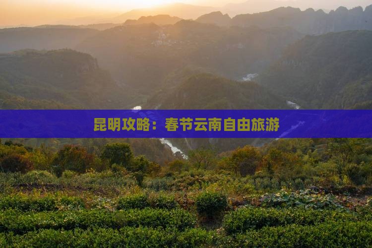 春节去云南昆明自由行