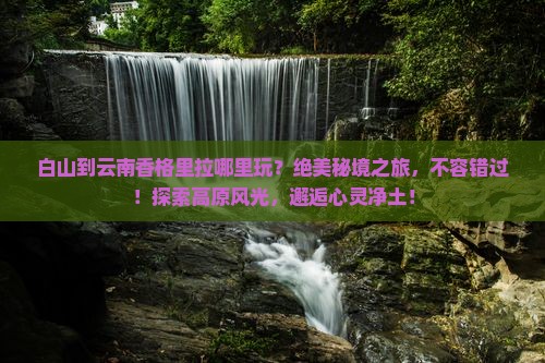 白山到云南香格里拉哪里玩