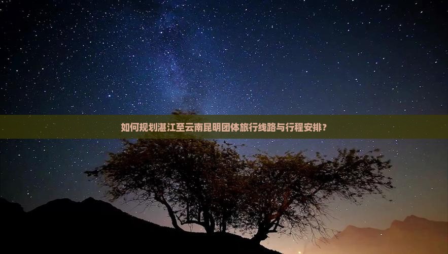 湛江去云南昆明团体旅游