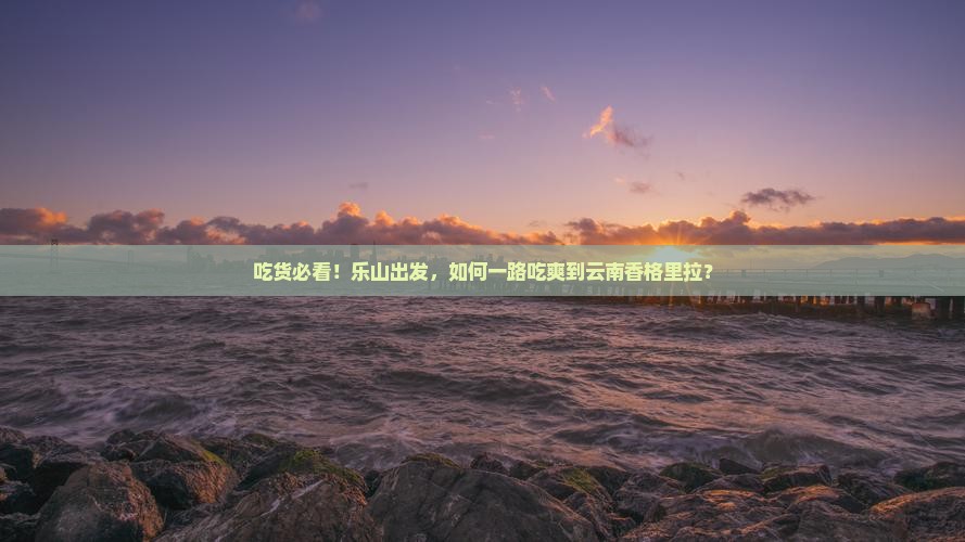 乐山去云南香格里拉旅游小吃