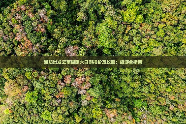 潍坊到云南昆明六日游
