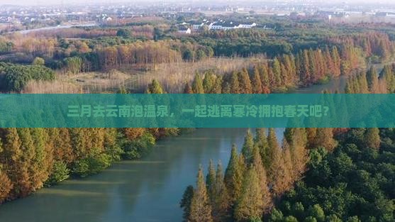 三月去云南温泉团体旅游