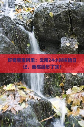 阿里去云南一日