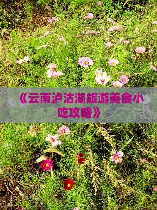 朝阳到云南泸沽湖旅游小吃
