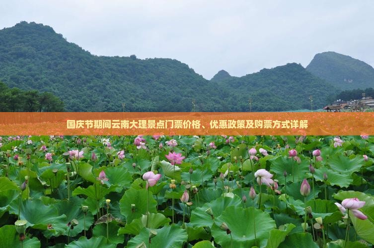 国庆节到云南大理门票