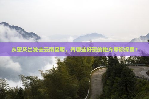肇庆去云南昆明哪里玩