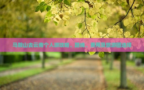 马鞍山去云南个人游