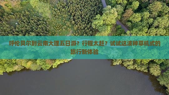 呼伦贝尔到云南大理五日游