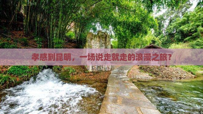 孝感去云南昆明旅游