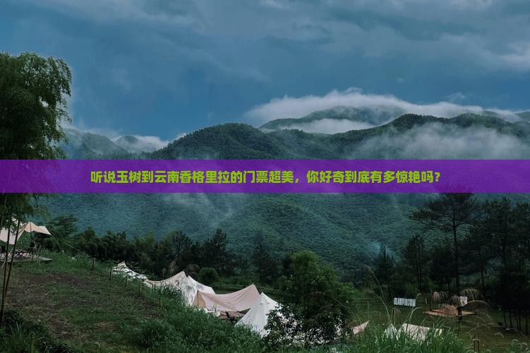 玉树去云南香格里拉门票