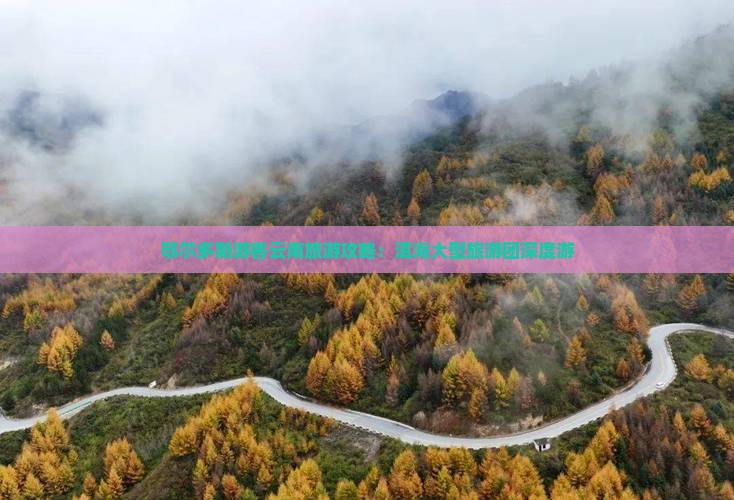 鄂尔多斯到云南洱海大型旅游团
