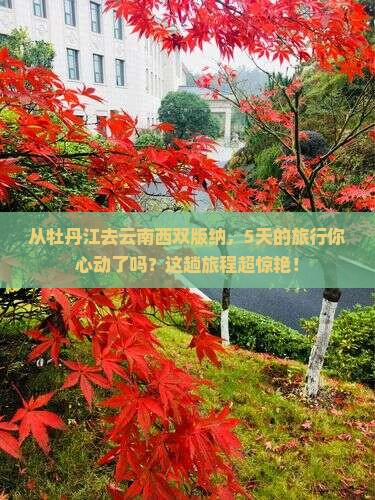 牡丹江到云南西双版纳五日游