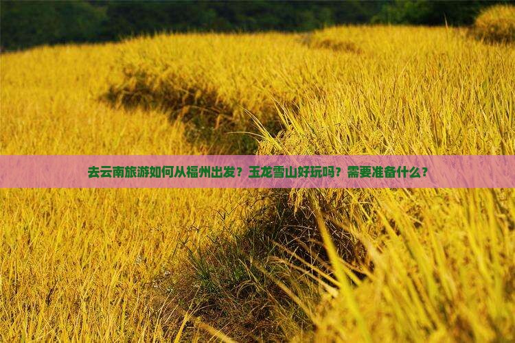 福州去云南玉龙雪山旅游