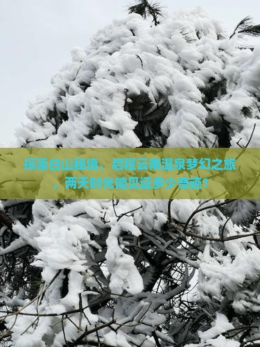 白山去云南温泉二日游