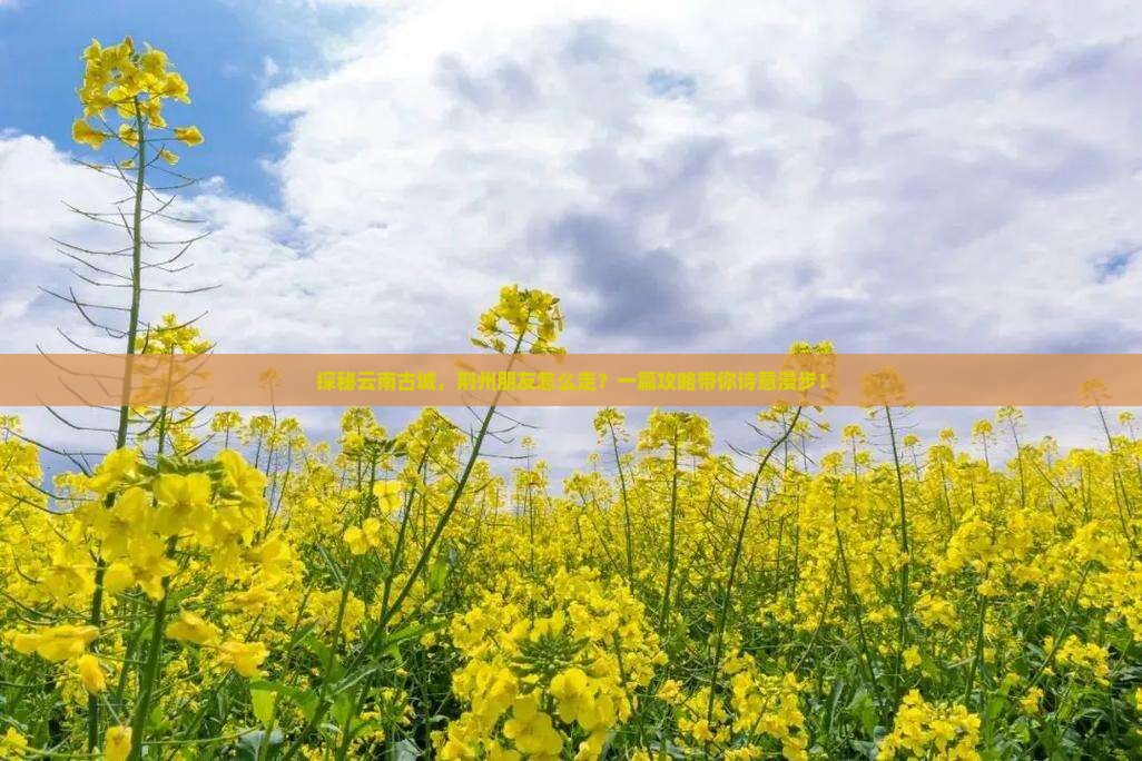 荆州去云南古城攻略